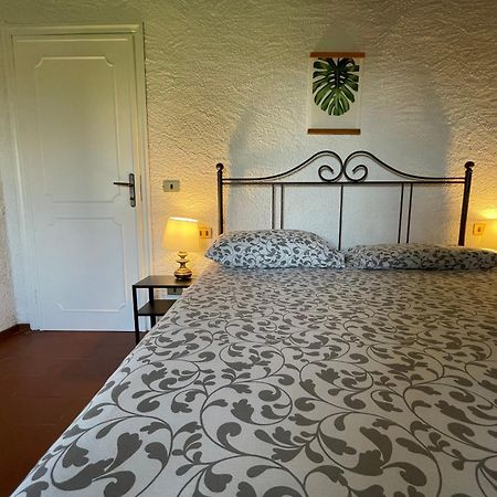 Il Silenzio Apartment Lucca Bagian luar foto