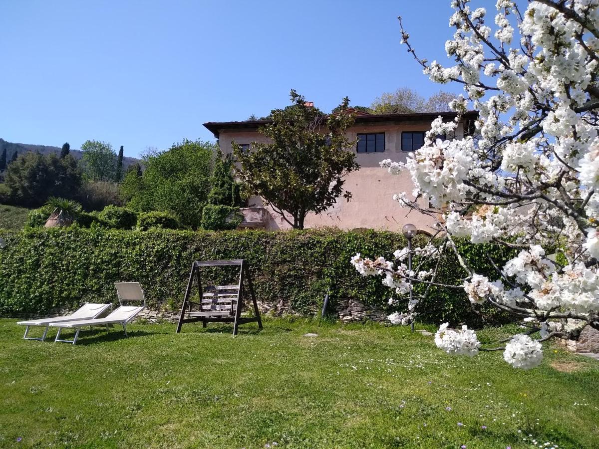 Il Silenzio Apartment Lucca Bagian luar foto