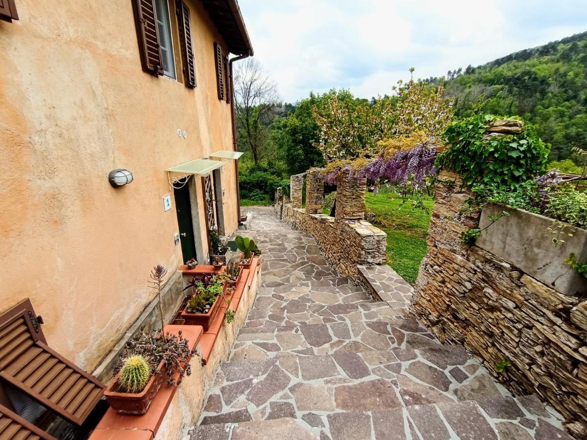 Il Silenzio Apartment Lucca Bagian luar foto