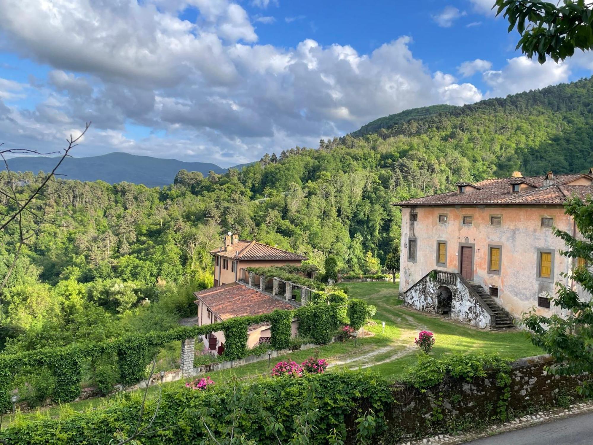 Il Silenzio Apartment Lucca Bagian luar foto