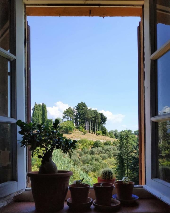 Il Silenzio Apartment Lucca Bagian luar foto