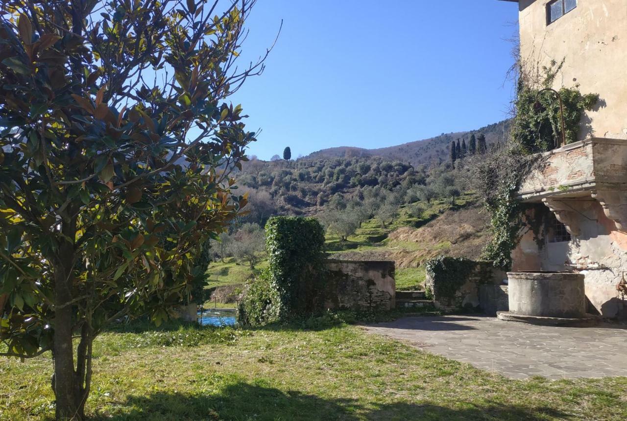 Il Silenzio Apartment Lucca Bagian luar foto